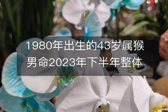 属猴1980寿命是多少年