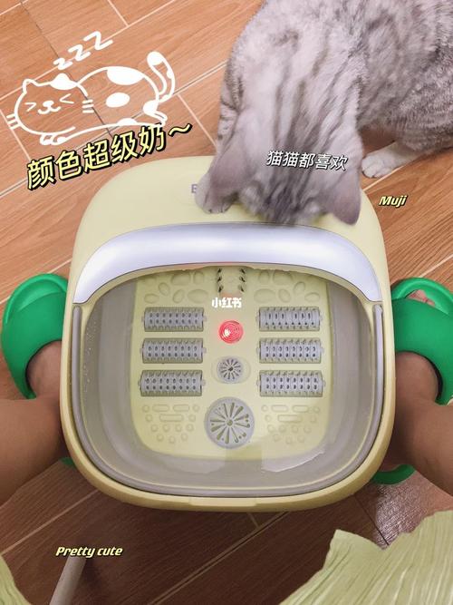 床底下用盆盛水会犯什么忌讳