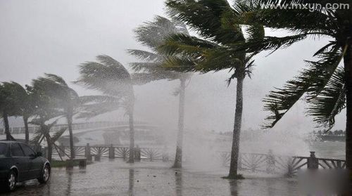 梦见狂风暴雨是什么兆头