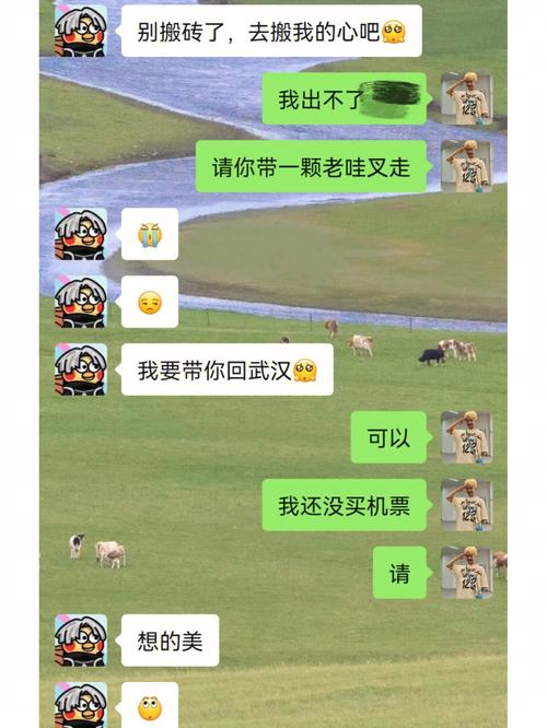 无聊的时候这些生肖可以陪你聊天聊地