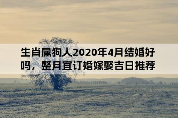 男女双方都属狗适合在2020年结婚吗?