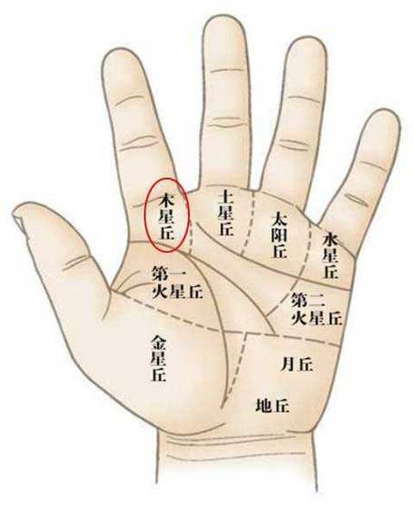木星丘上的紋路有什么讲究