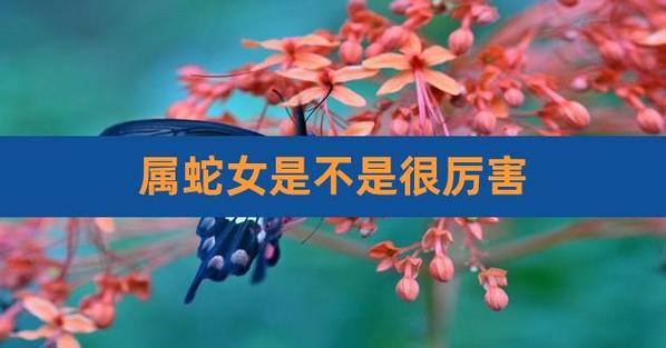 属蛇的女人都很厉害吗