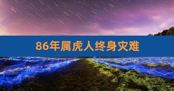 属虎人一生有哪些灾难