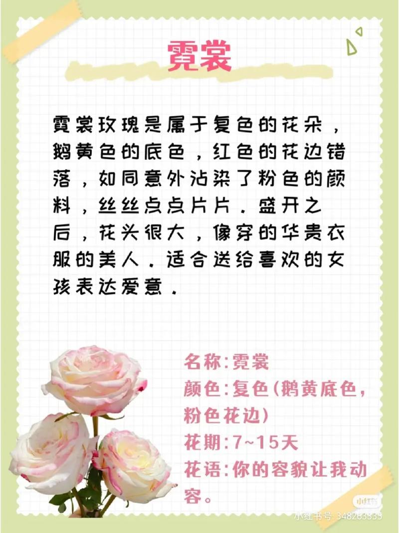 108朵粉玫瑰的花语,108朵粉玫瑰代表什么意思?