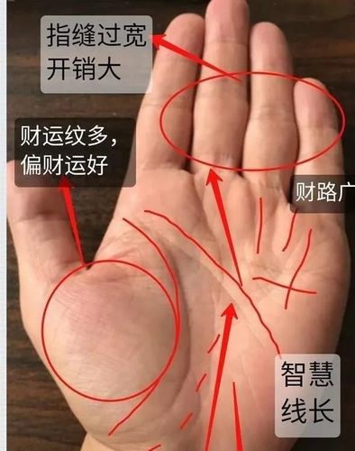 指为龙掌为虎,注定发大财的手相