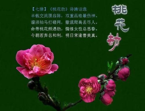 未来一周,桃花多多,爱情喜从天降的三大生肖男