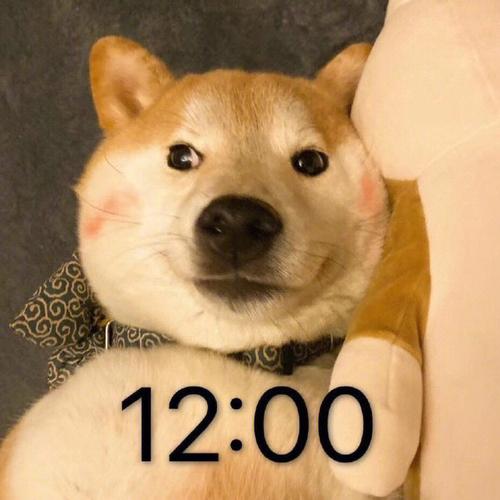 双鱼座为什么喜欢熬夜
