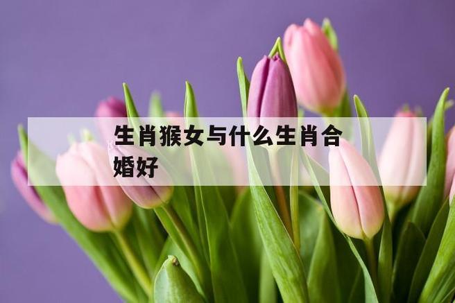 生肖猴婚配什么好