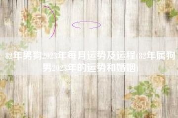 82年属狗2023夫妻感情走势,婚姻运势