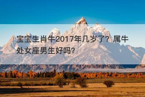 宝宝生肖牛2017年几岁了?属牛处女座男生好吗?