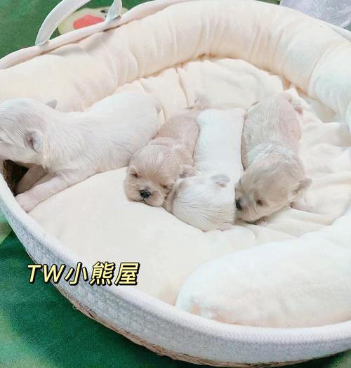 2020年七夕未时出生宝宝喜用神是什么命如何?
