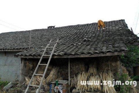 梦见房屋改造 周公解梦之梦到房屋改造