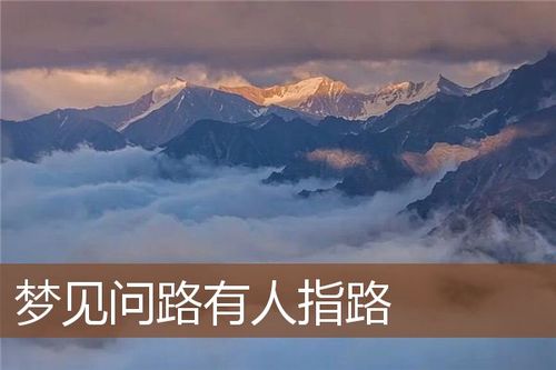 梦见有人问路