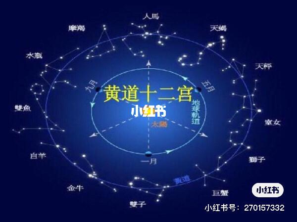 弗洛依德 星座