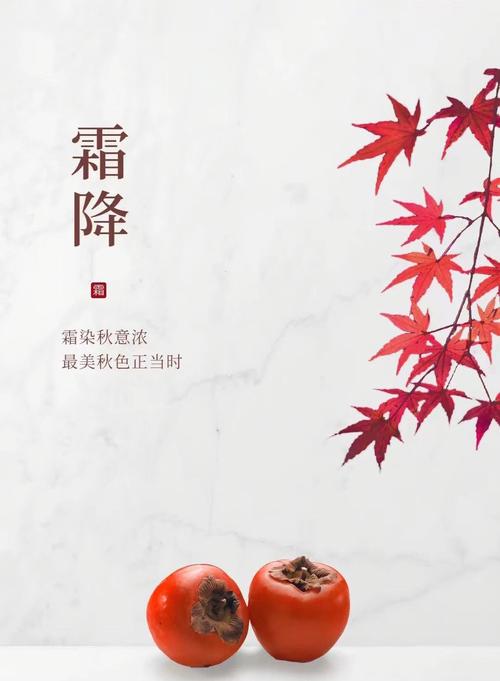 霜降是什么意思啊