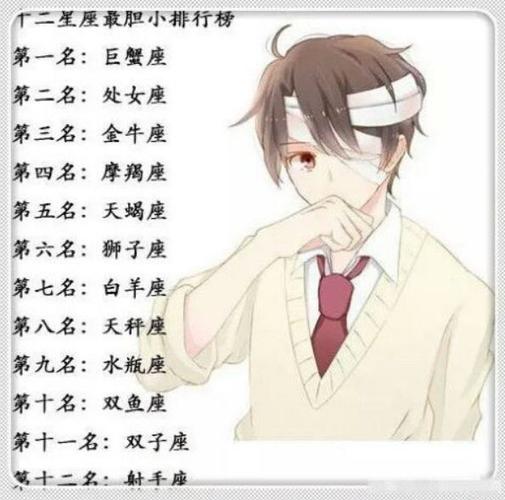 12星座心中的理想老公