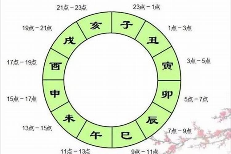 卯时和什么时辰最配