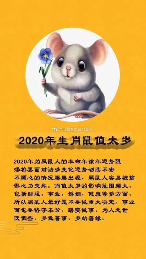 96年属鼠男的五行