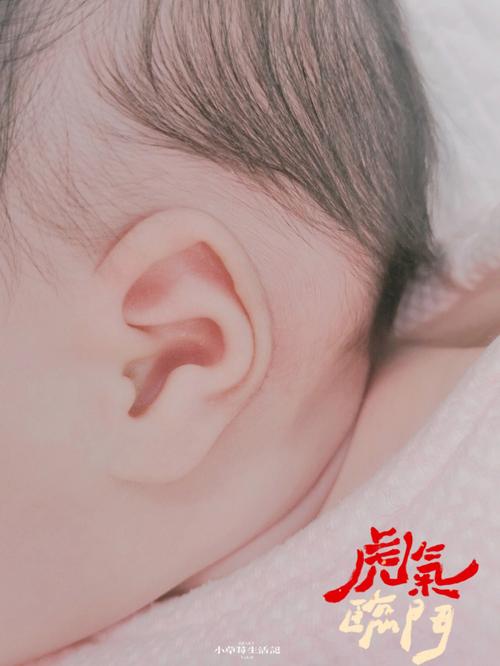 腊月里的牛宝宝好不好