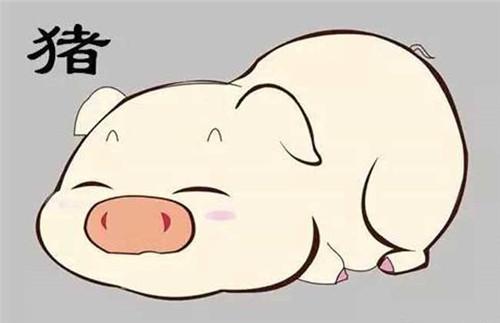 十二日生属猪人命运好吗？