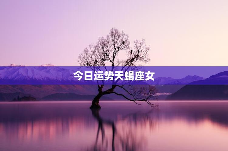 天蝎座女生一辈子的命运