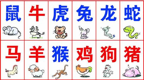 想和十二生肖交往就得学会一样东西
