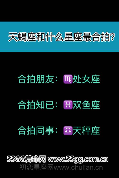 天蝎座和什么座最合拍?