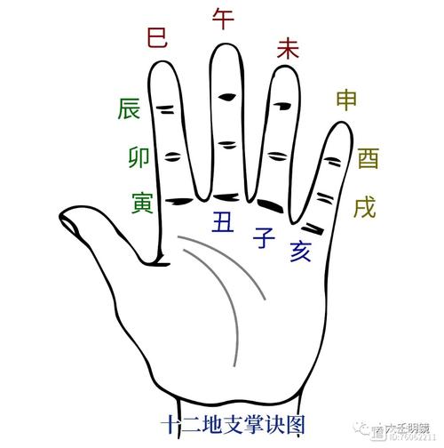 解读十二地支之卯