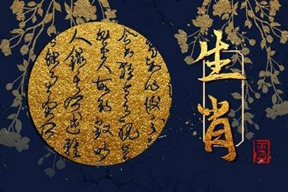 生肖马的爱情诊断书