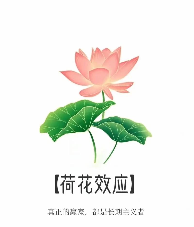 莲花的心理学解析