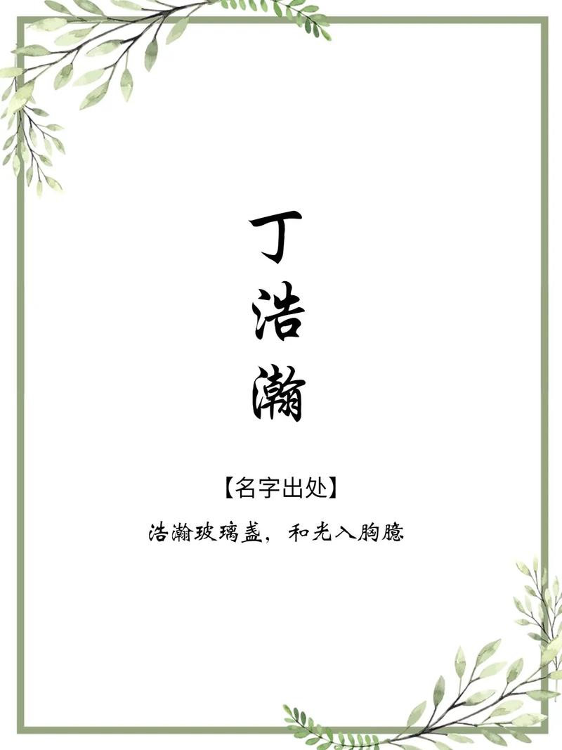丁姓男孩名字2023年5月30日出生的