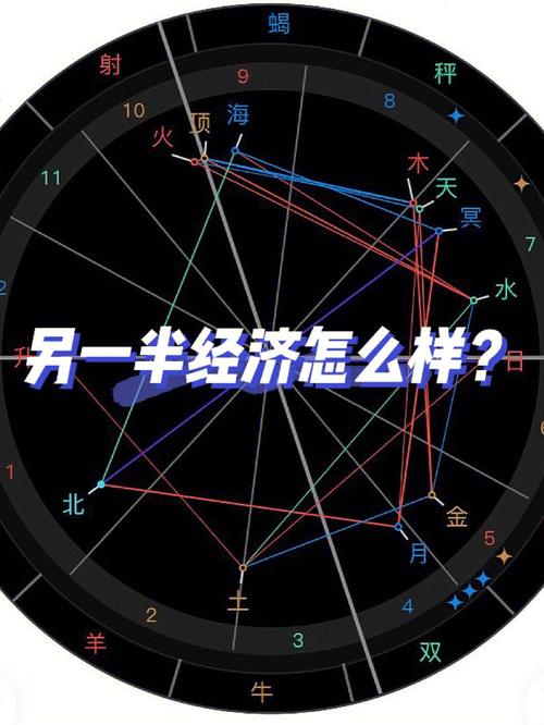 星盘10宫看配偶家境