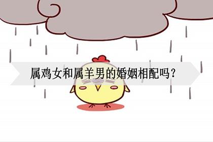 羊和鸡相冲吗(恋爱的注意事项有哪些)
