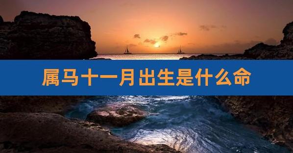 十一月出生的马人命运好吗?