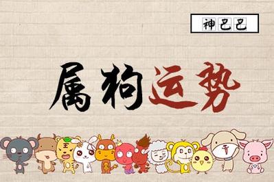 2020年7月生肖属狗运势,