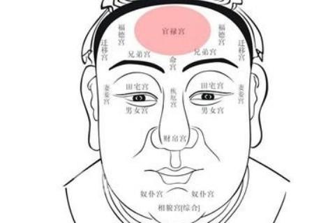 面相分析大有作为的人