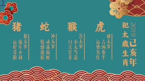 2019年出生的人属什么