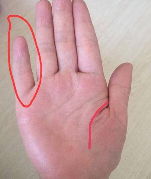 手上无斗的人命运怎么样的?