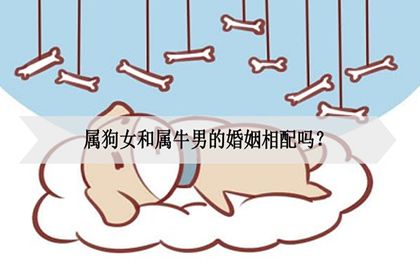 生肖男牛和生肖女狗的爱情