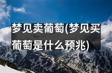 梦见别人偷自己的葡萄