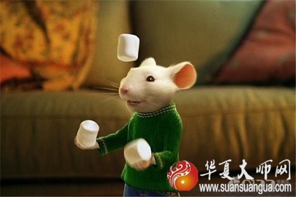 84年属鼠2020添丁冲吗