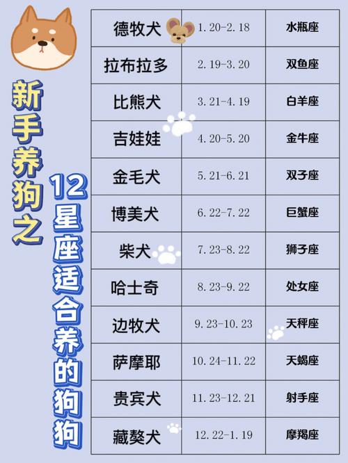 十二星座养狗是为了什么