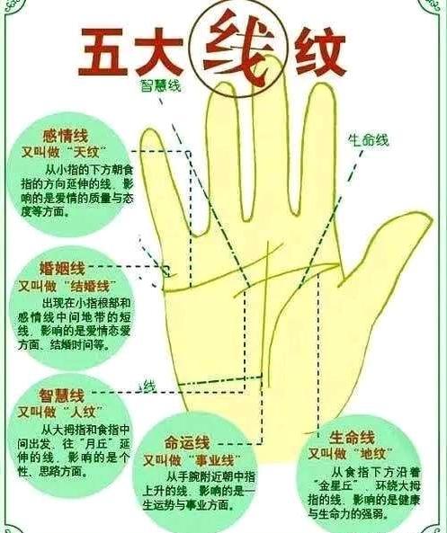 如何从手相看事业,这种手相事业最容易成功