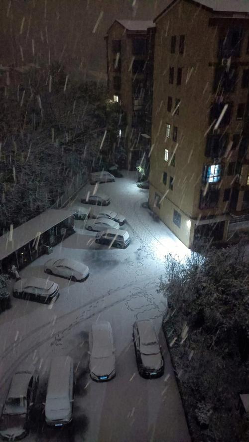 梦见下鹅毛大雪