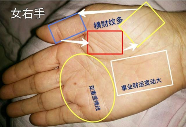 手相分析三分钟热度的人
