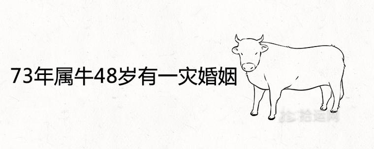 73年属牛48岁有一灾婚姻