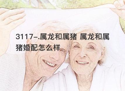 属龙和属猪的婚姻怎样