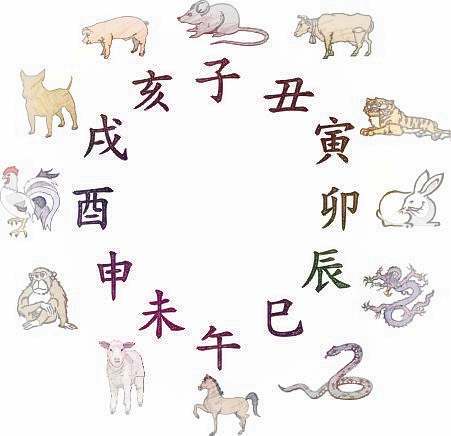 四废是什么意思