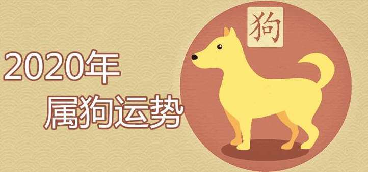 1982年属狗的妈妈2019年什么时候生宝宝最好